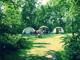 Camping De Meene in Buurse