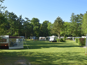 Camping Het Horstmannsbos in Gasselte