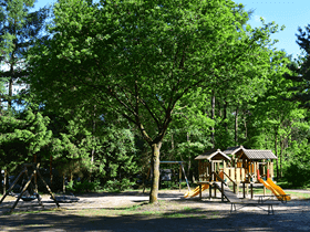 Camping Het Horstmannsbos in Gasselte