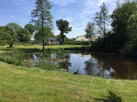 Camping De Vrije Vogels in Midwoud