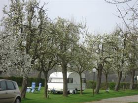 Camping De Kersengaard in Sint Geertruid