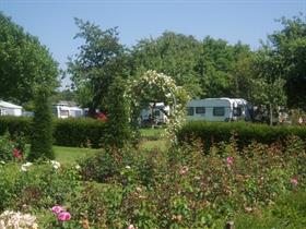 Camping De Maashof in Lottum