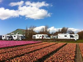 Camping Mariahoeve in Julianadorp aan Zee