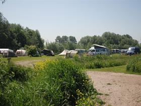 Camping De Abtswoudse Hoeve in Delft