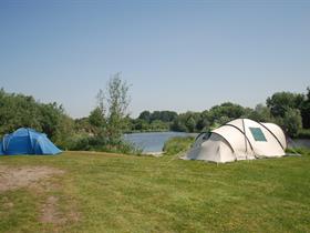 Camping De Abtswoudse Hoeve in Delft