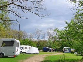 Camping De Negende Zaeligheyt in Bergeijk