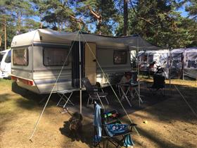 Camping Bos Park Bilthoven in Bilthoven