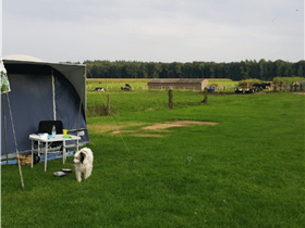 Camping Het Leersumse veld in Leersum