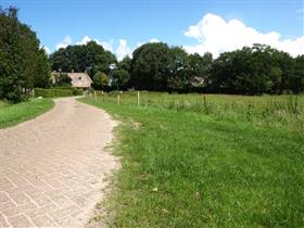 Camping Bos en Ven in Uffelte