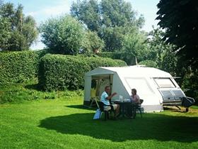 Camping De Rijnstrangen in Aerdt