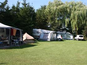 Camping 't Bosch in Zelhem
