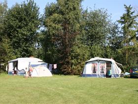 Camping 't Bosch in Zelhem