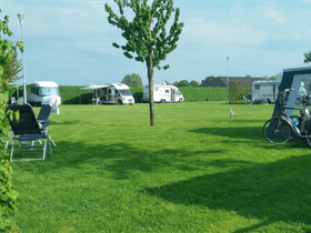 Camping De Kijfakker in Deil