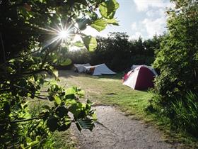 Camping Hoorn in Hoorn-Terschelling