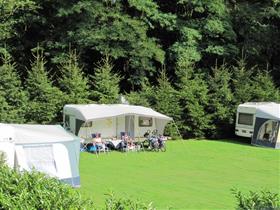 Camping Erve Henderiks Hoeve in Bornerbroek