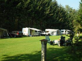 Camping Reeëndal in Loenen