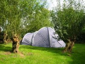 Camping De Kleine Rug in Dordrecht
