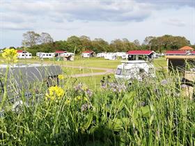 Camping Het Noordenveld in Wapse