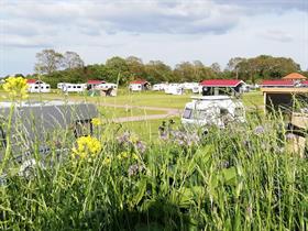 Camping Het Noordenveld in Wapse