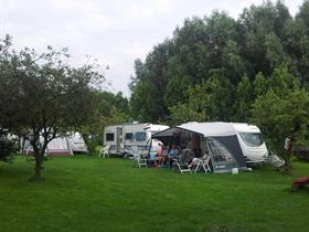 Camping De Hoogewaard in Winssen