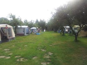 Camping De Hoogewaard in Winssen