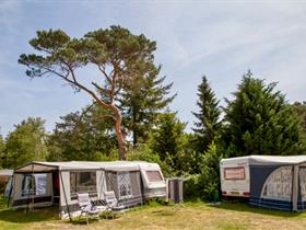 Camping De Kriemelberg in Ermelo