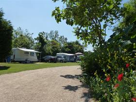 Camping De Wilde Flora in Zoutelande