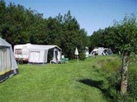 Camping De Buorkerij in Dedgum
