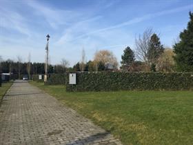 Camping De Mienthorst in Lutjewinkel