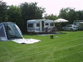 Camping De Forellenvijver in Steenderen