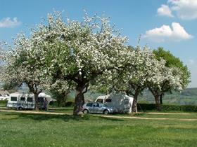 Camping Oosterberg in Epen