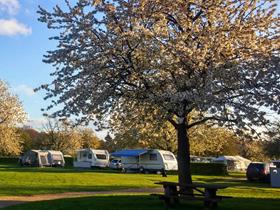 Camping Oosterberg in Epen