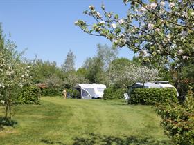 Camping Laaghalerveld in Hooghalen