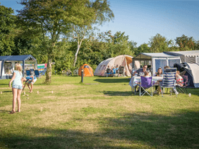 Camping De Krim in De Cocksdorp - Texel