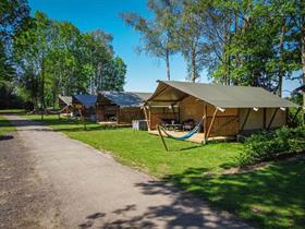 Camping De Tolbrug in Bergharen
