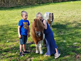 Camping Westenenk in Wijster