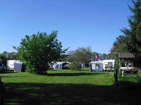 Camping De Ezelhof in Loozen