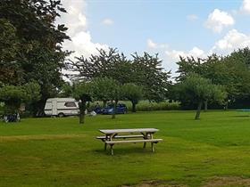 Camping De Kersengaard in Zuidland