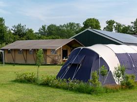 Camping Het Scholtemeijer in Diffelen