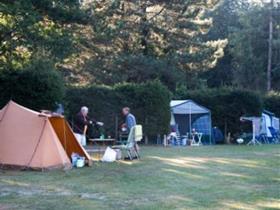 Camping Landgoed Geijsteren in Geijsteren-Maashees