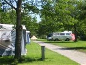 Camping Het Groene Hart van Ternaard in Ternaard