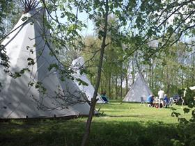 Camping De Veenkuil in Bant