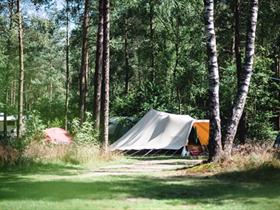 Camping Zanderdennen in Kootwijk