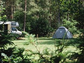 Camping Zanderdennen in Kootwijk