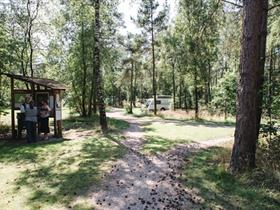 Camping Zanderdennen in Kootwijk