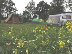 Camping De Frije Fries in Rotstergaast