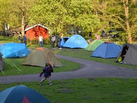 Camping Het Amsterdamse Bos in Amstelveen (Amsterdam-Zuid)