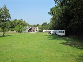 Camping Campanula in Haarlo