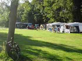 Camping Campanula in Haarlo