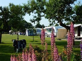 Camping De Veldzijde in Losser